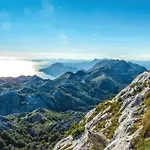 Lejlighed 1 Bedroom Beautiful In Makarska