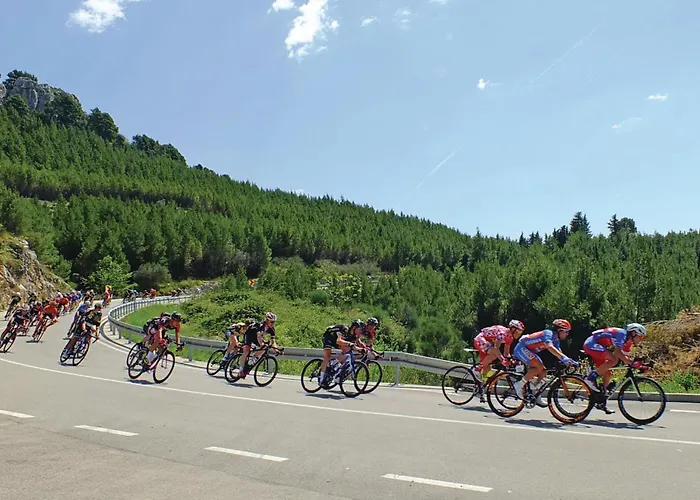 Apartman 1 Bedroom Beautiful In Makarska